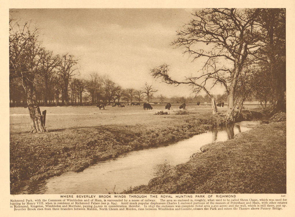 Beverley Brook winding through the Royal hunting Park of Richmond 1926 print